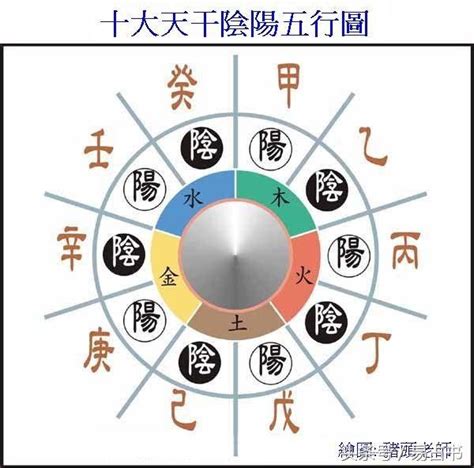 天干 陰陽|陰陽、五行與天干、地支 (作者：李文傳 老師 / 逢甲大學經濟學。